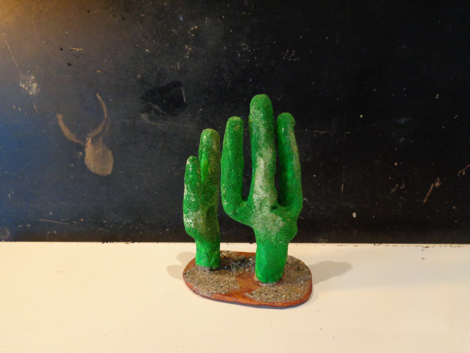 Kaktus diTorro - el Widy